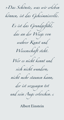 Zitat Albert Einstein
